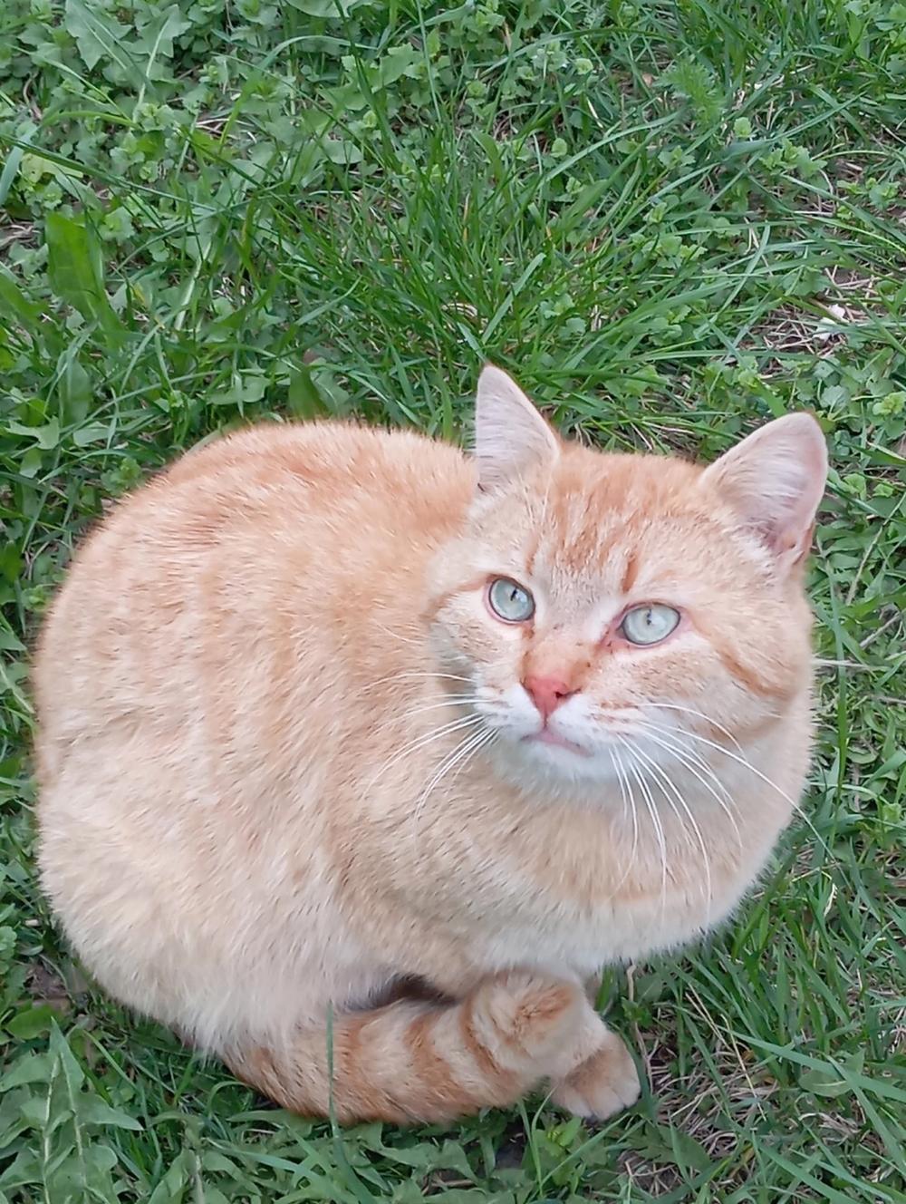 Лучик