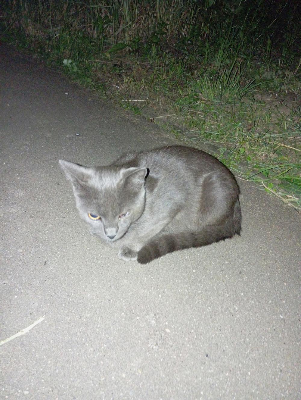 Графит