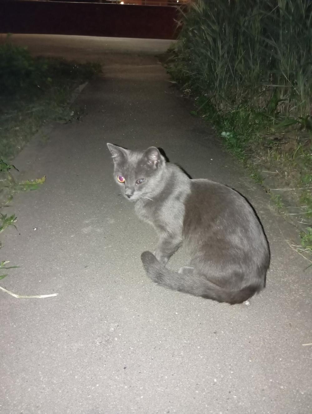 Графит
