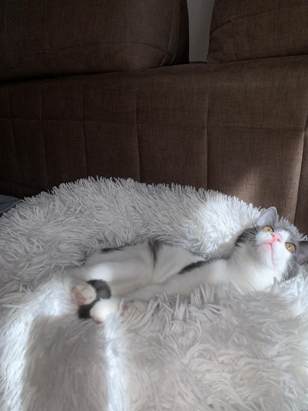 Микас