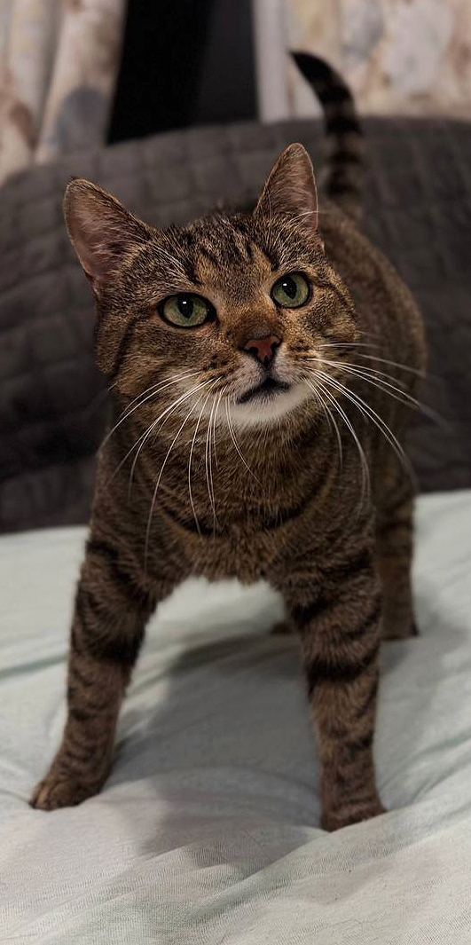 10. Карамель