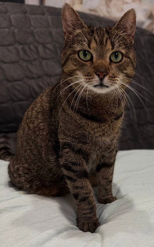 10. Карамель