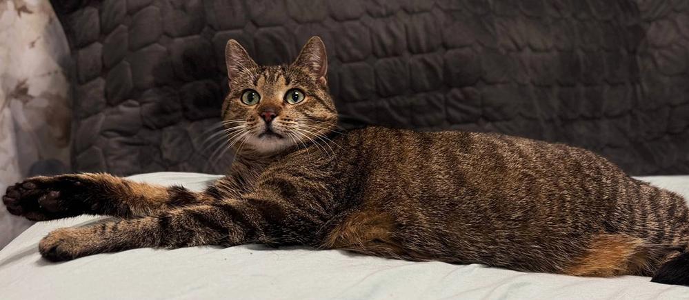 10. Карамель