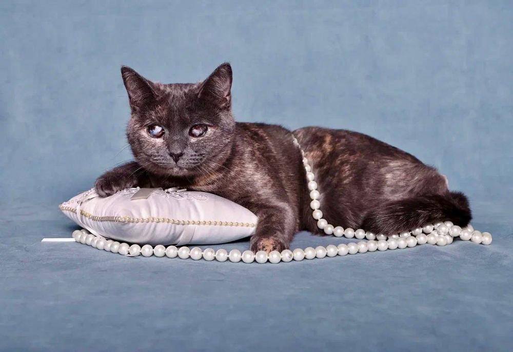 Валера и Вера