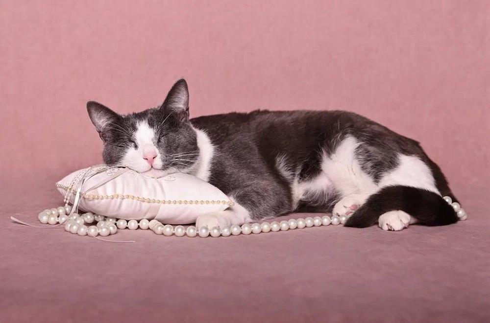 Валера и Вера