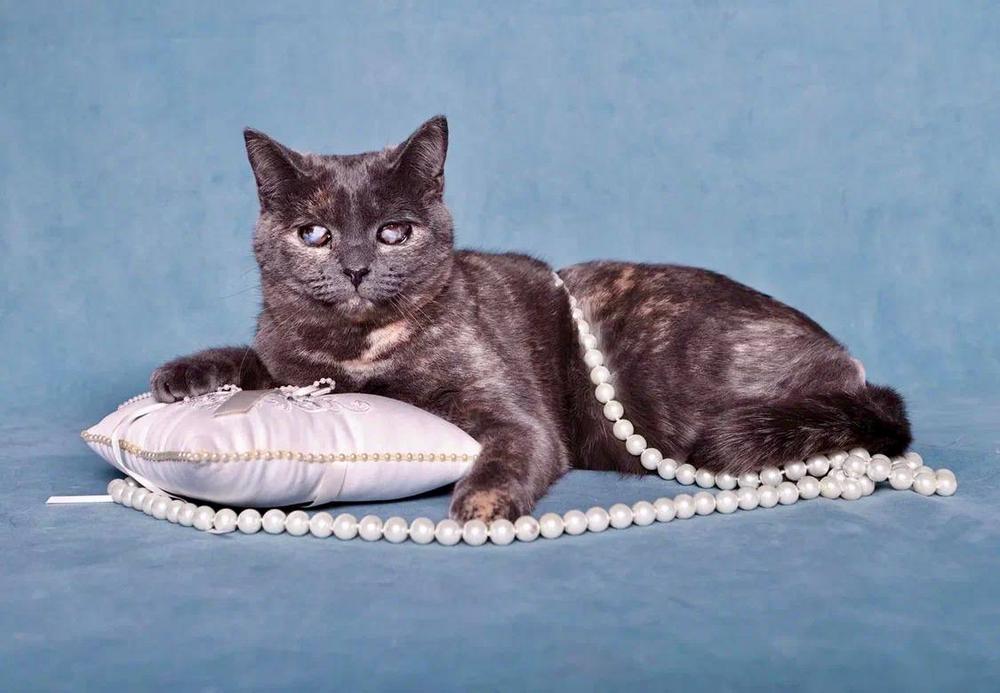 Валера и Вера