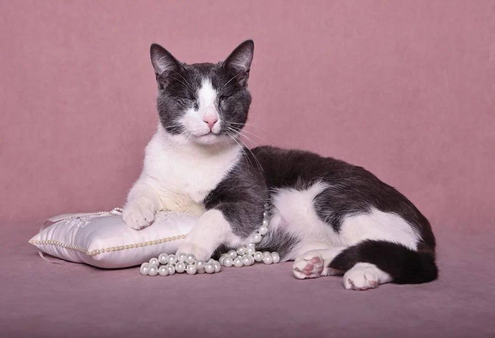 Валера и Вера