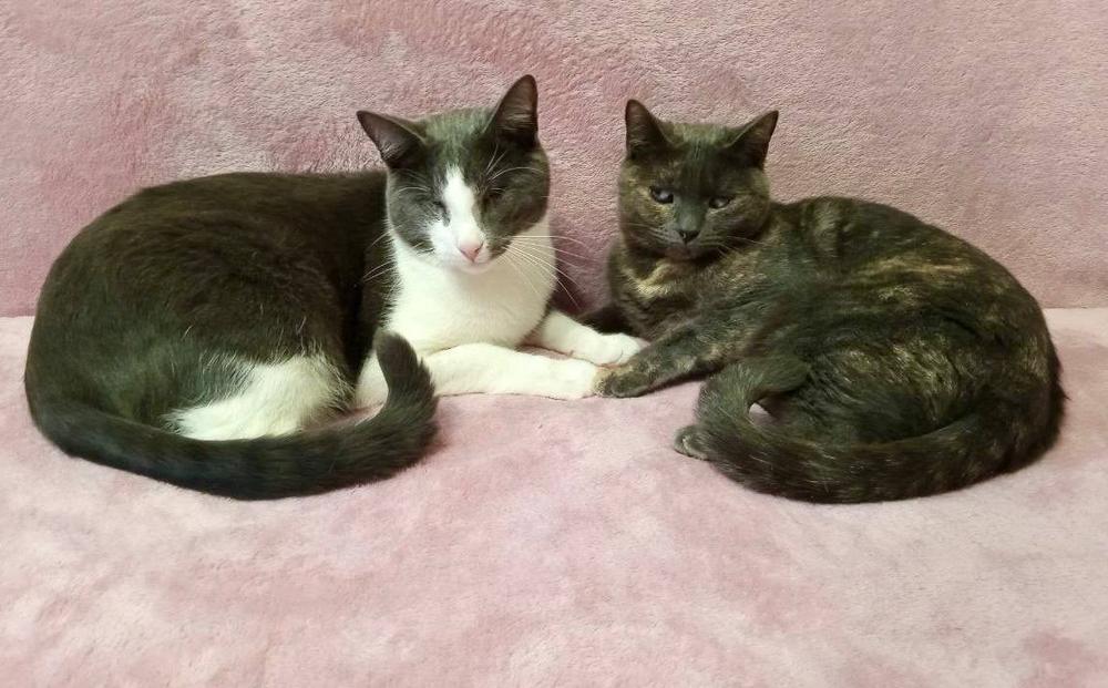 Валера и Вера