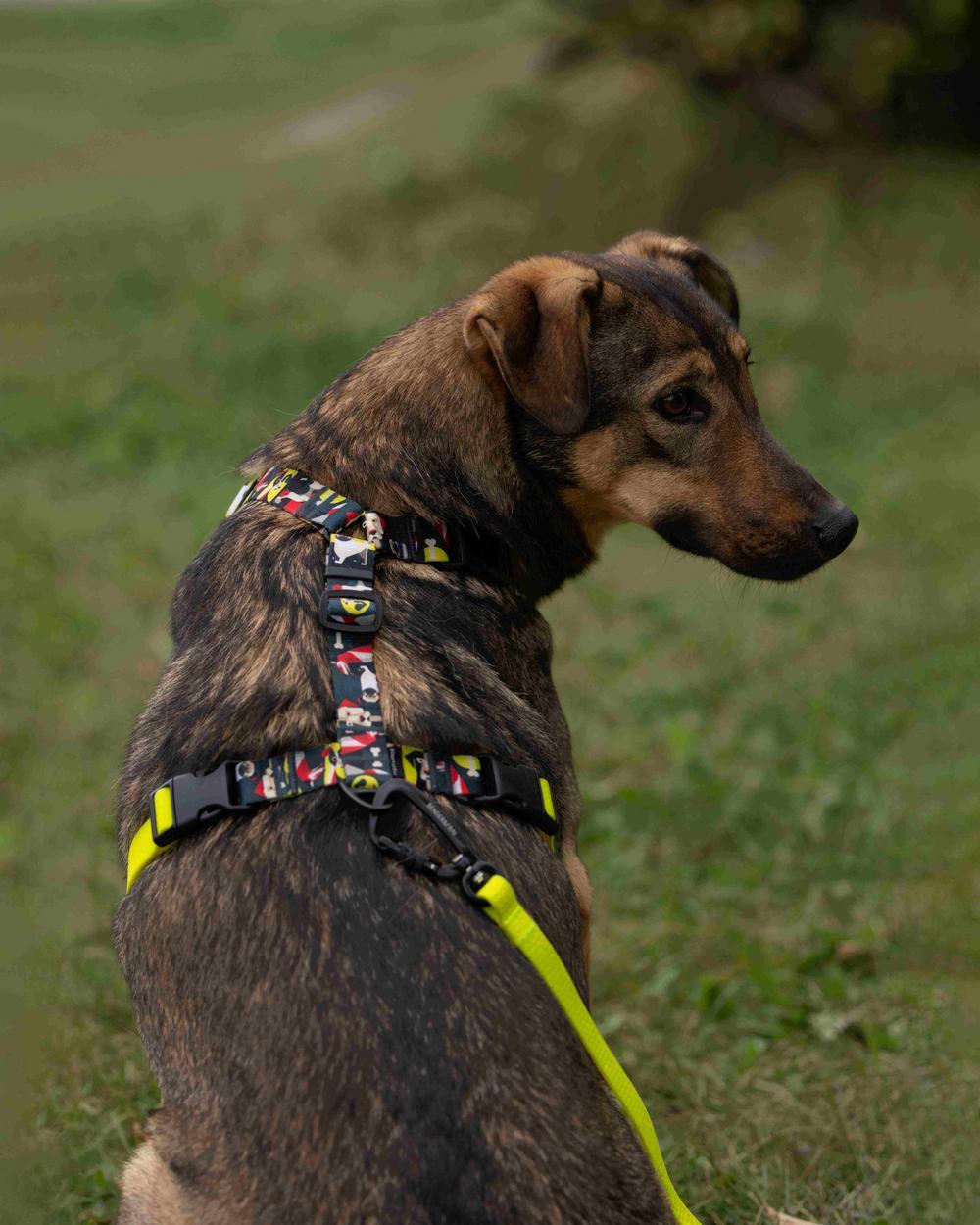 Марсельеза