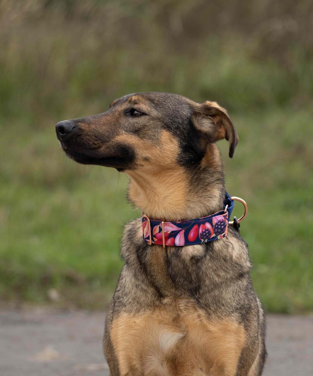 Марсельеза