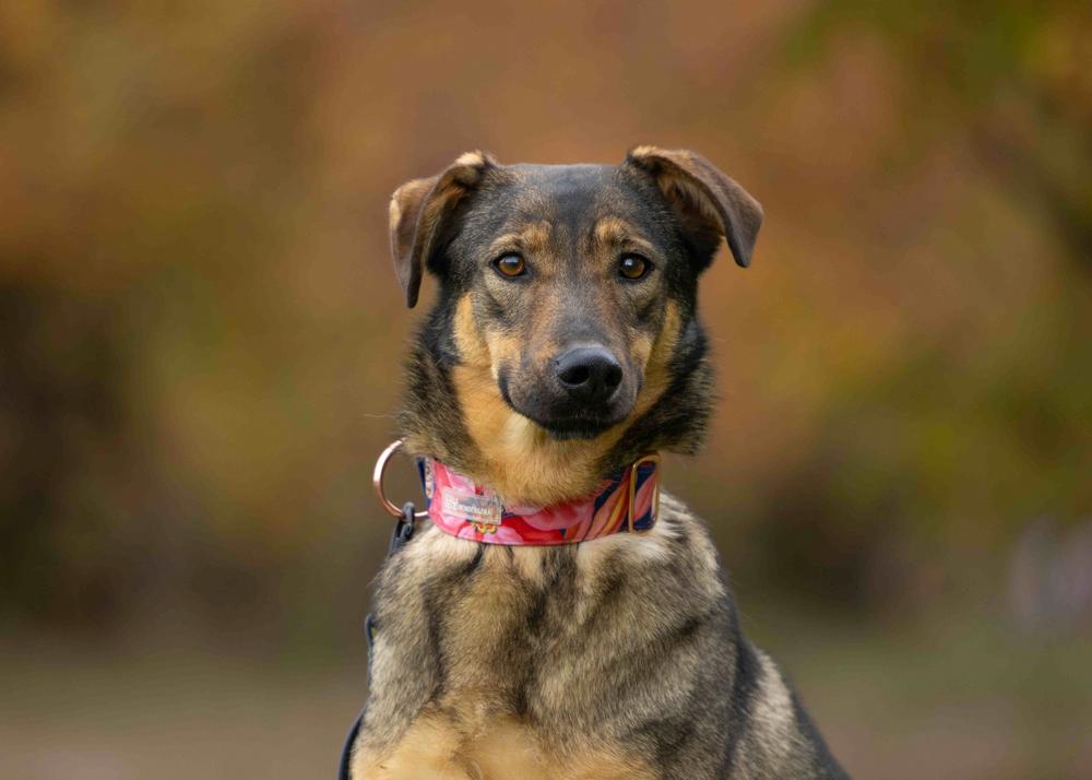 Марсельеза