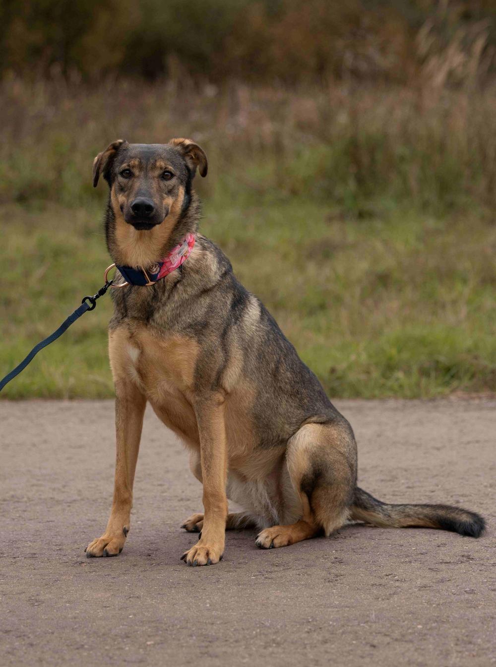 Марсельеза