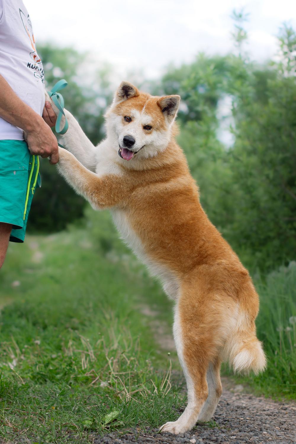 Кента