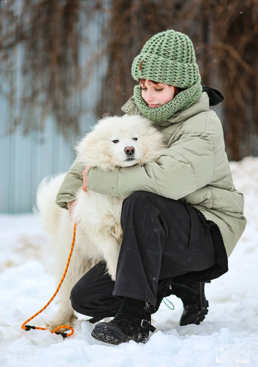 Мишель
