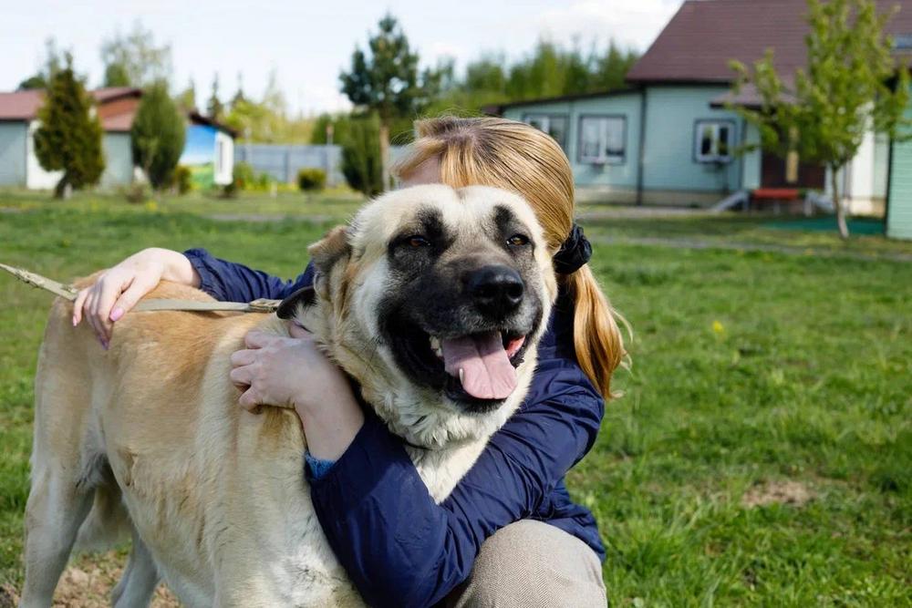 Дакар