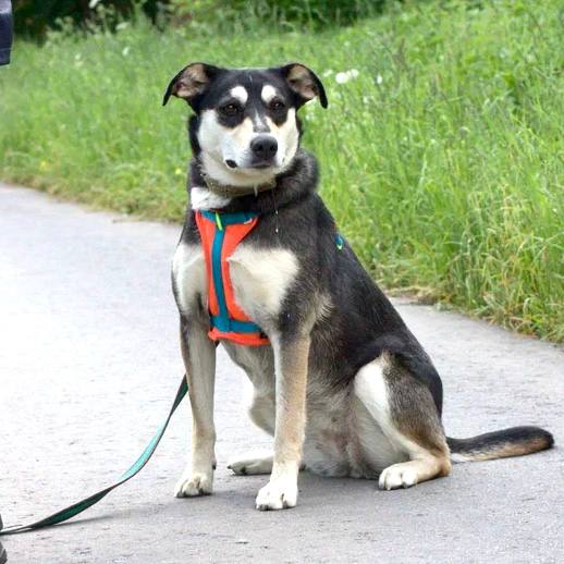 Луна