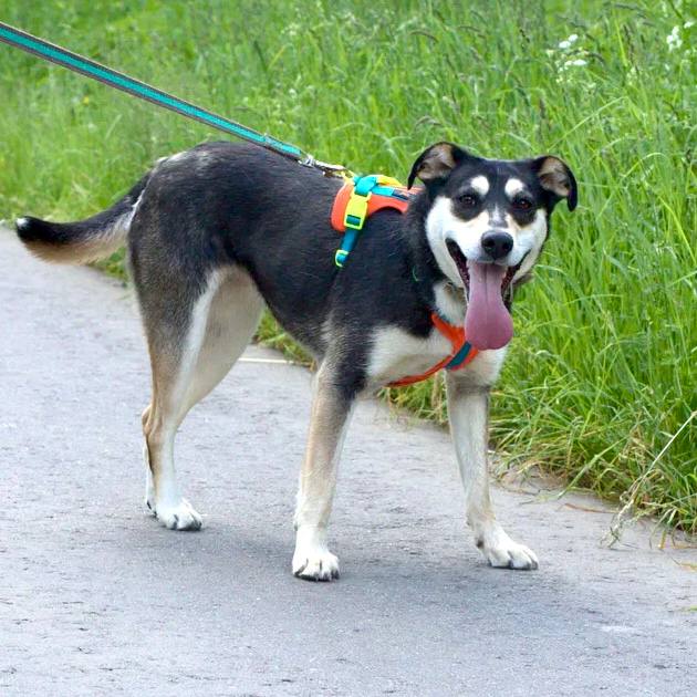 Луна