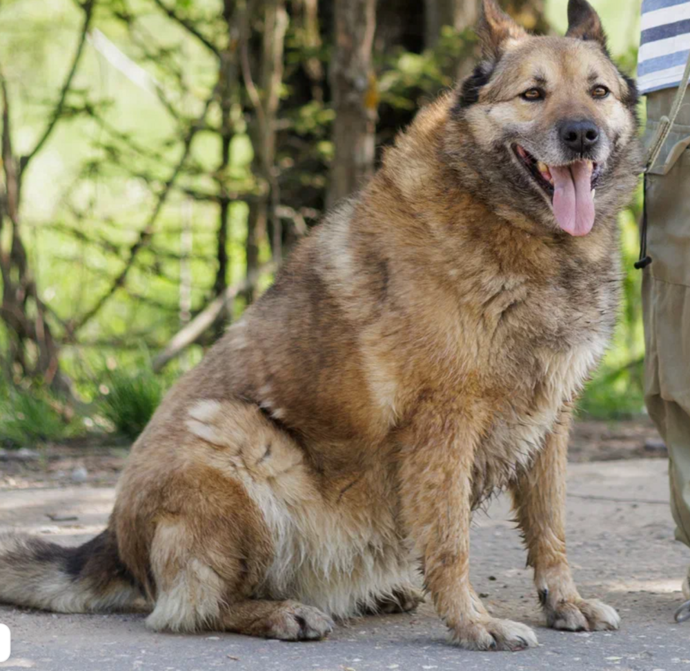 Нана