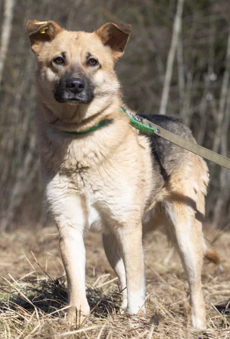 Клим