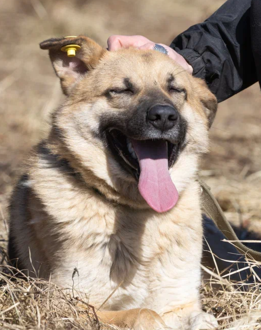 Клим