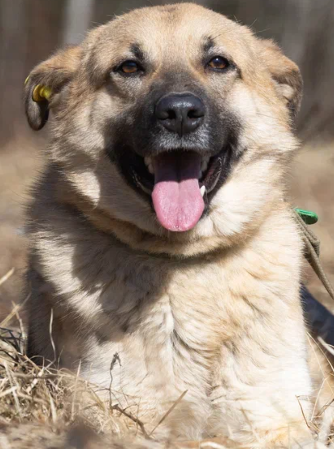 Клим