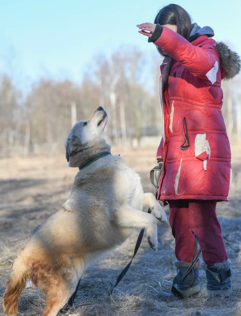 Белла