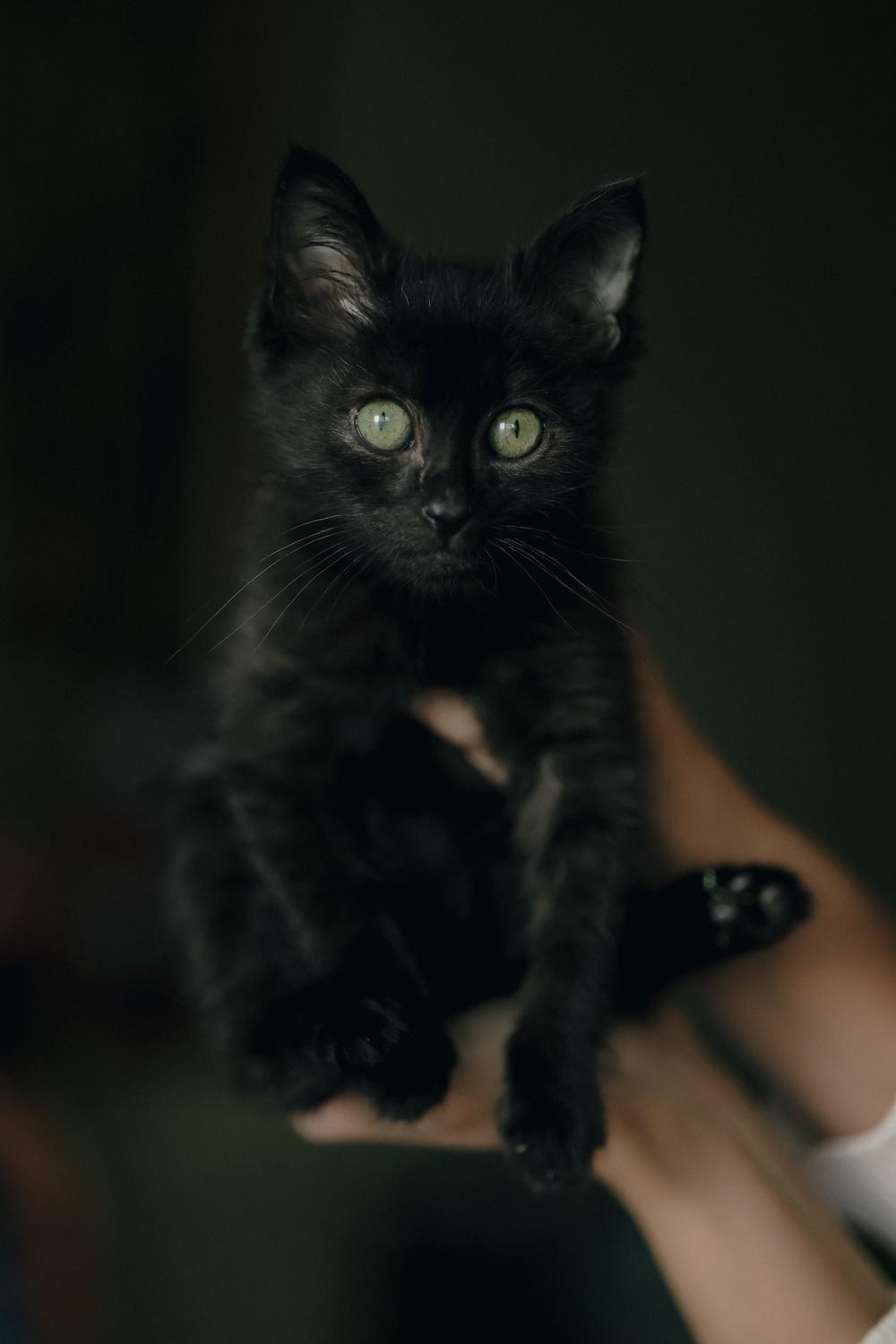 Крошик