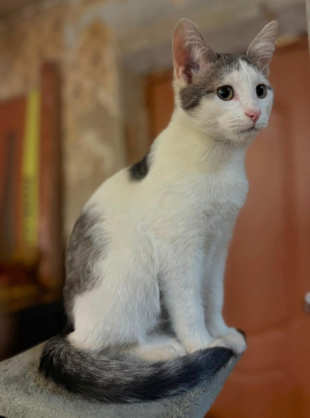 Лучик