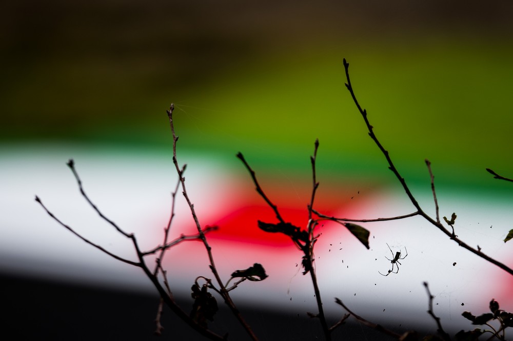 F1 | Japanese GP | 04-07.10.2018