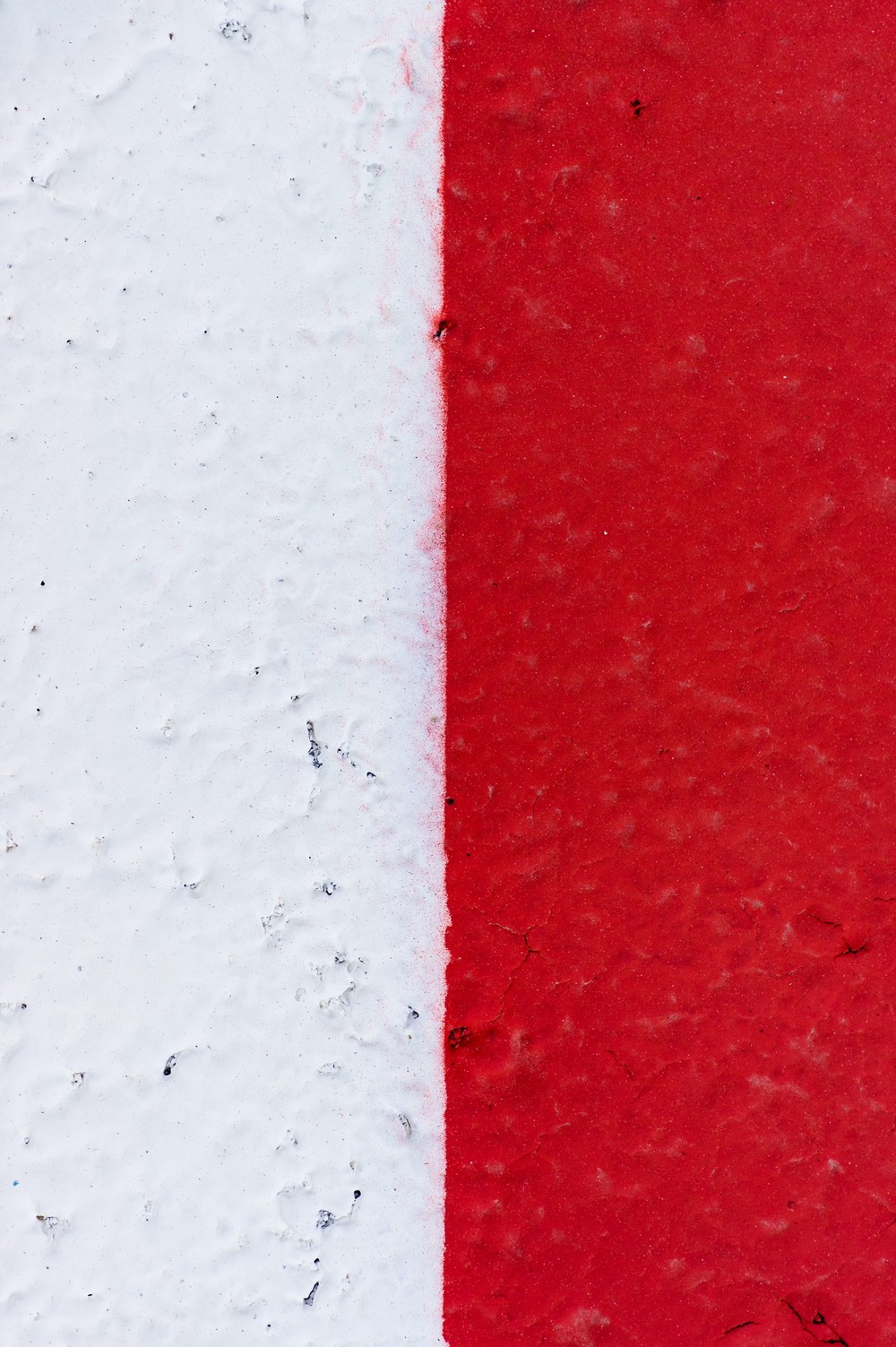 F1 | Abu Dhabi GP | 22-25.11.2018