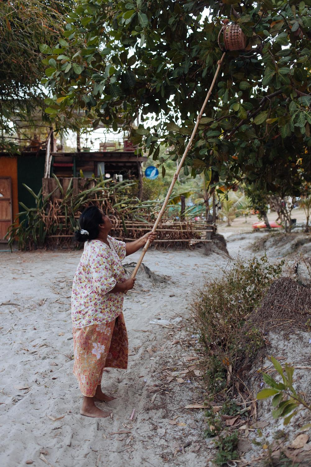 Trip to Thailand 2015