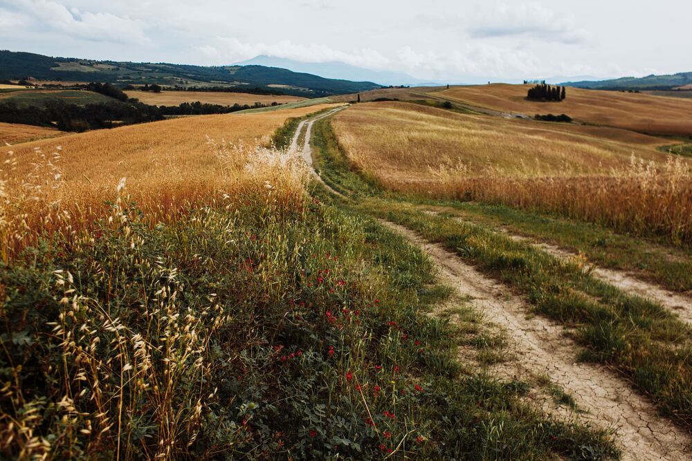 TOSCANA