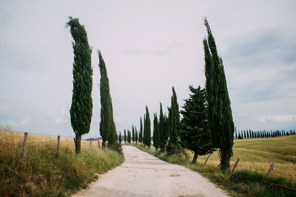 TOSCANA