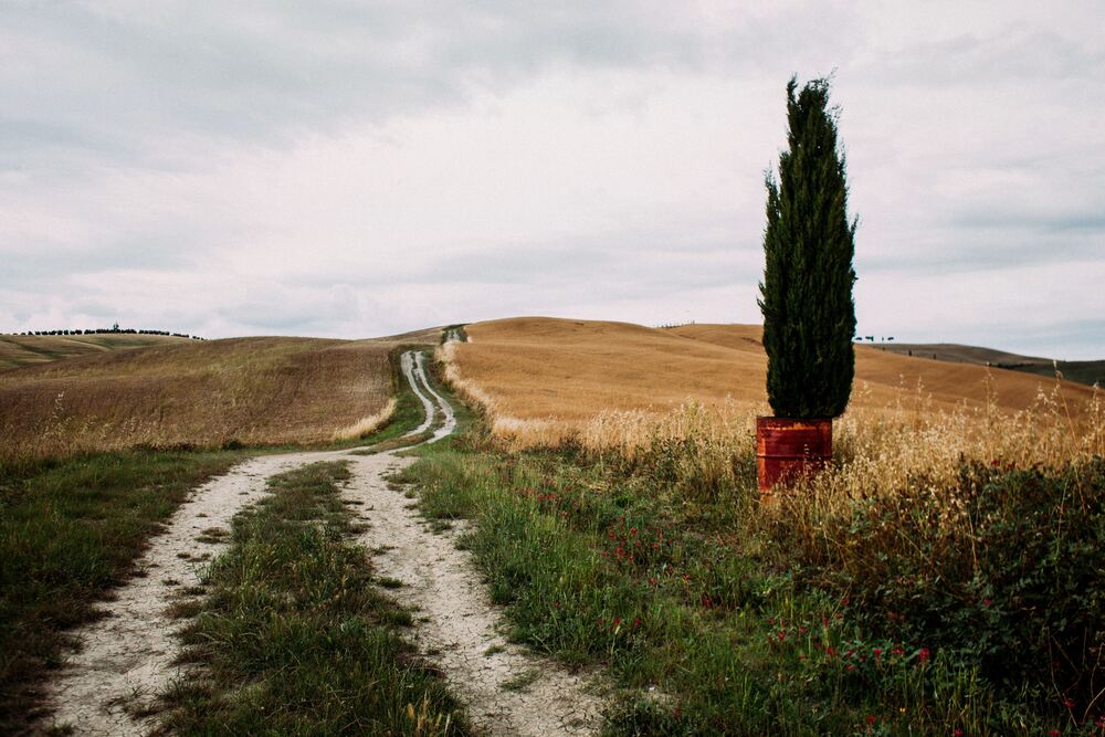 TOSCANA