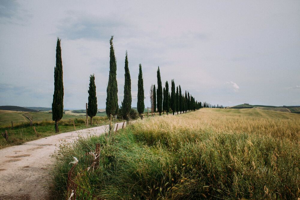TOSCANA