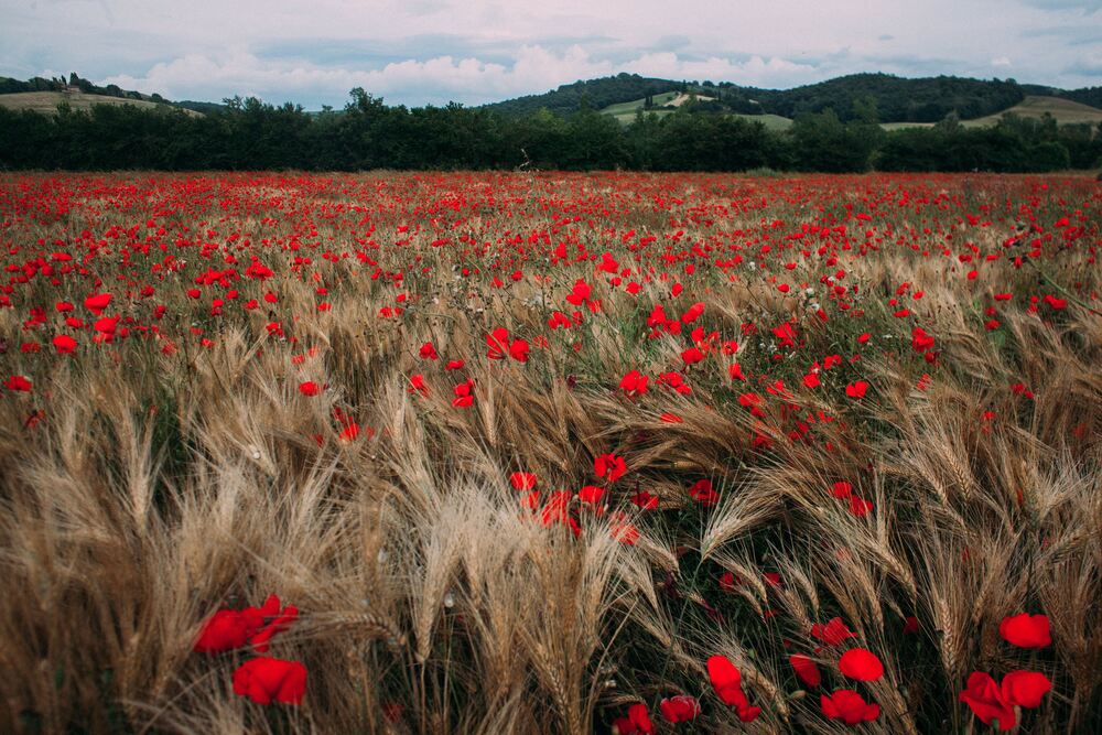 TOSCANA