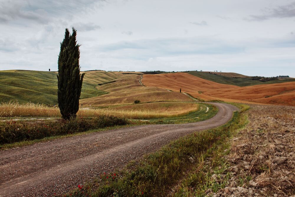 TOSCANA