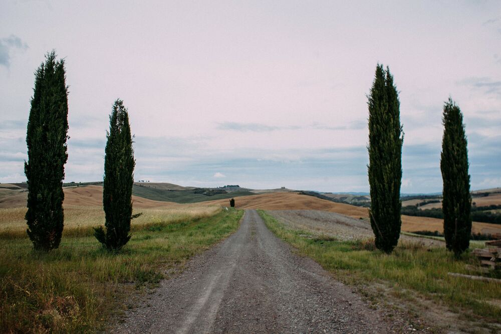 TOSCANA