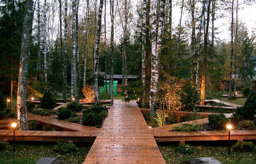 → Новоглаголево, 0,5 га, 2004 г. 