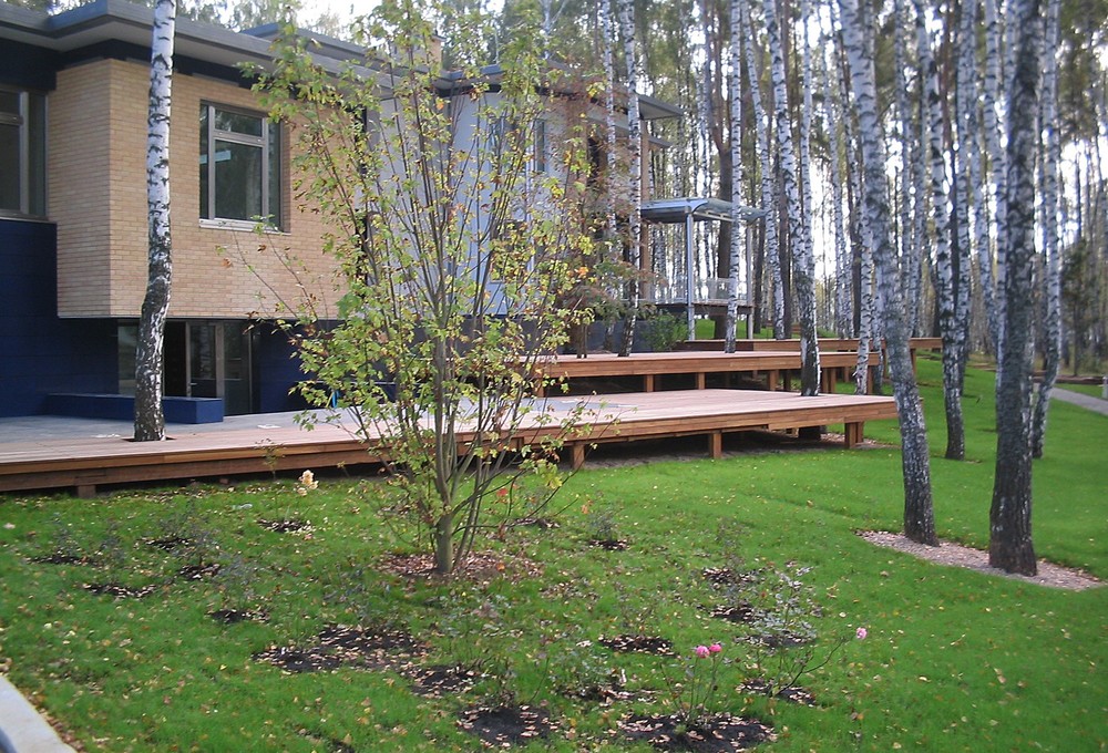 → Александровка, 2 га, 2002-2003 г.г. Работа в команде 