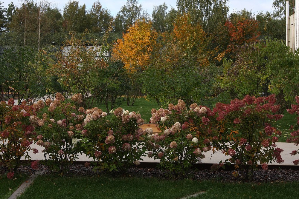 → Раздоры, 0,75 га, 2010-2011 г.г.