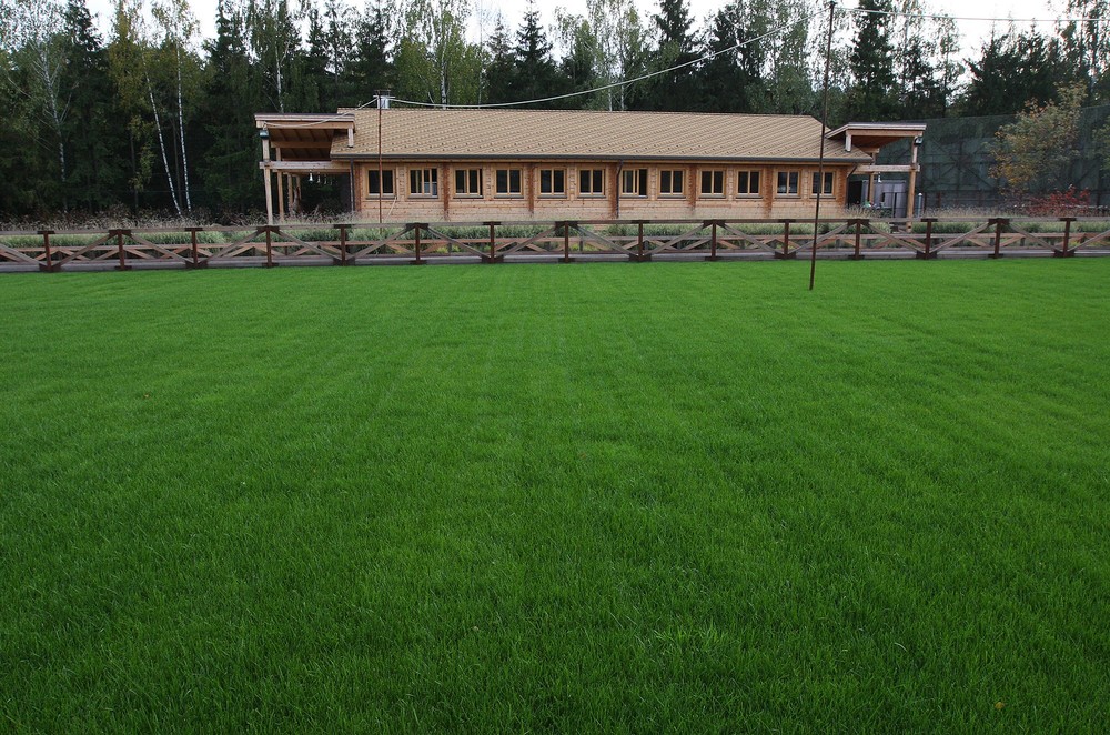 → Раздоры, 0,75 га, 2010-2011 г.г.