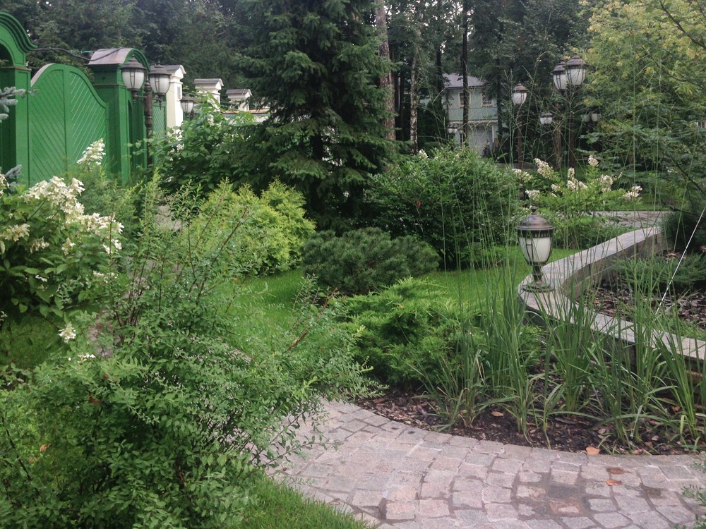 → Серебряный бор, 0,8 га, 2012-2014 г.г.