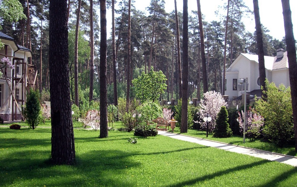 → Серебряные ключи, 0,5 га, 2006 г. 