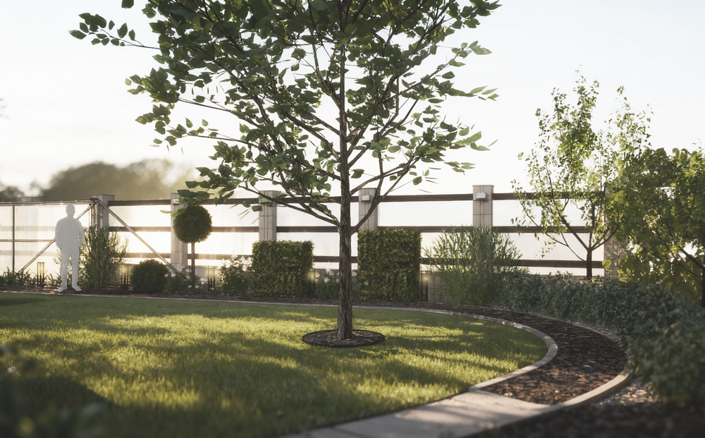 → Клязьминский парк, 0,08 га, 2019-2020 г.г.