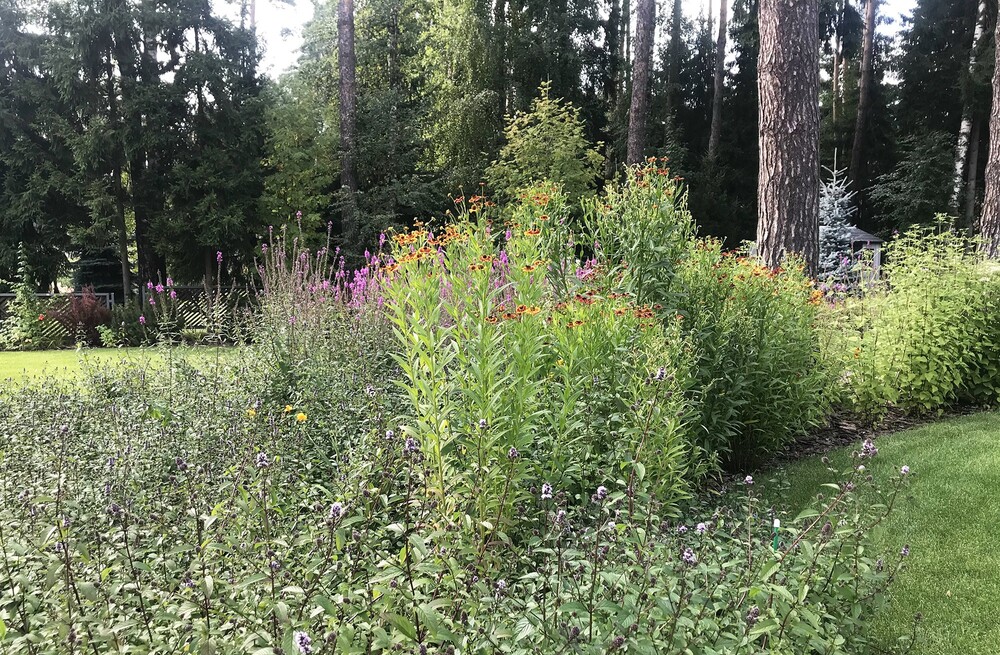→ Клуб 20'71, 0,2 га, 2018 г.