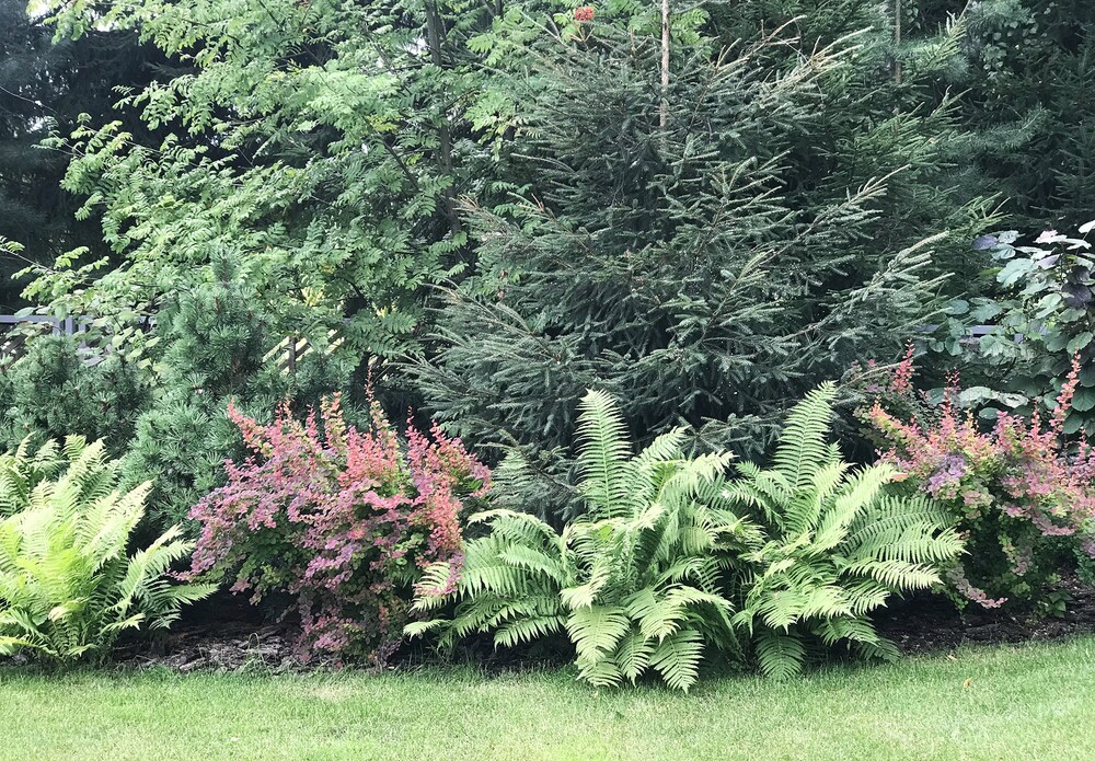 → Клуб 20'71, 0,2 га, 2018 г.