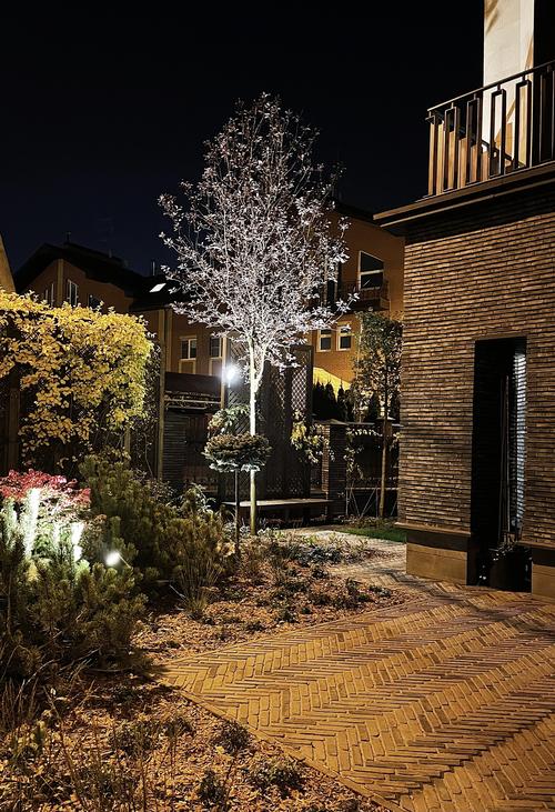 → Ласкино, Калининград, 0,06 га 2024 г.