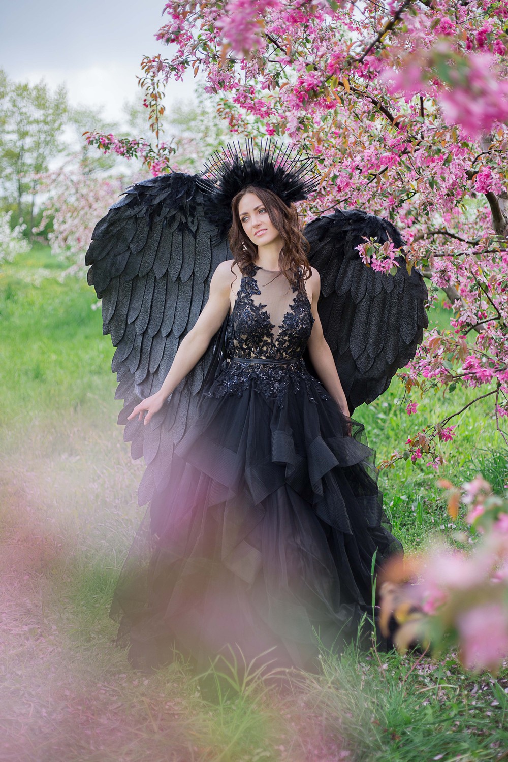 Wings