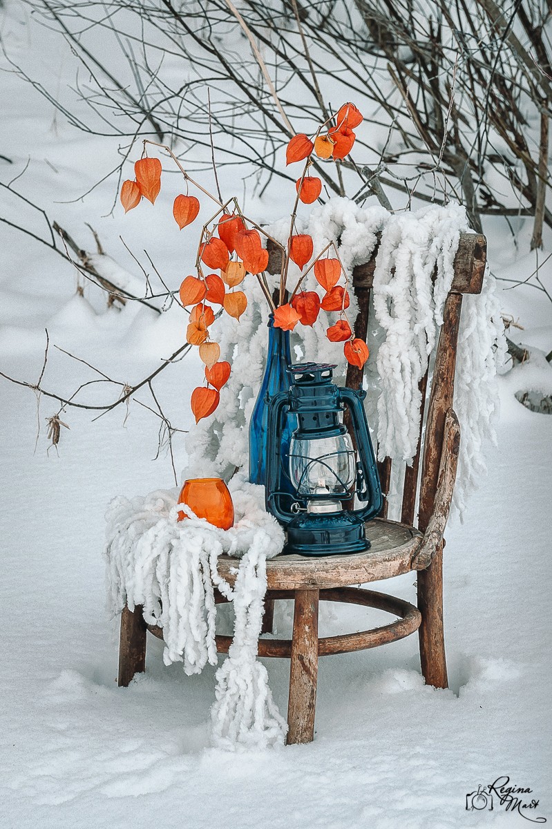 Winter picnic (Birthday party)